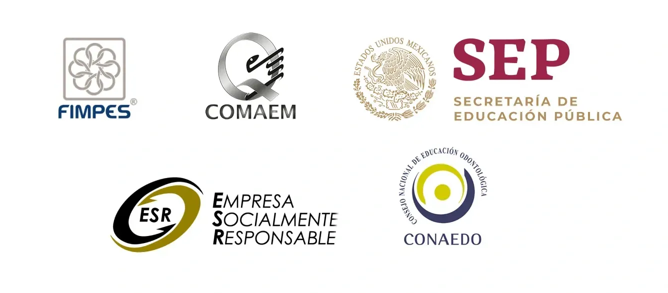 Ilustración para: Docentes que impulsan tu aprendizaje